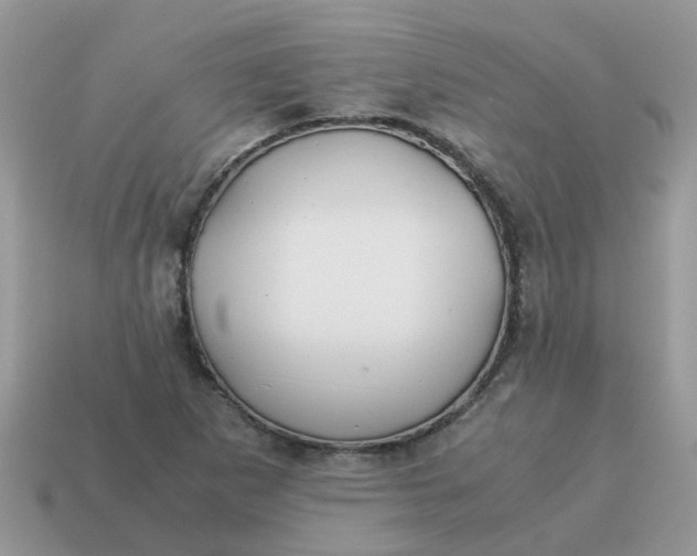X0000115041265200911091357