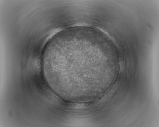 X0000115041266200911091357