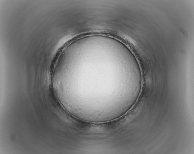 X0000115041267200911091357