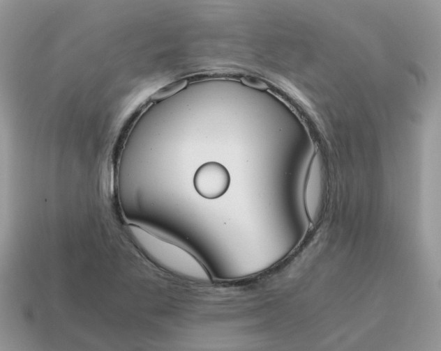 X0000115041269200911091357
