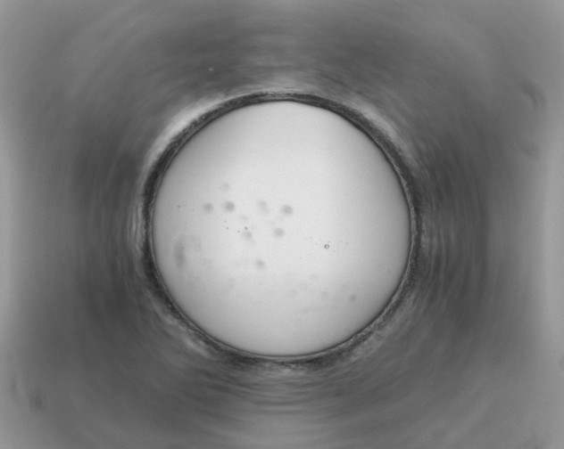 X0000115041270200911091357