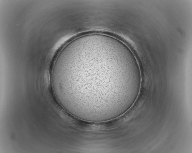 X0000115041271200911091357