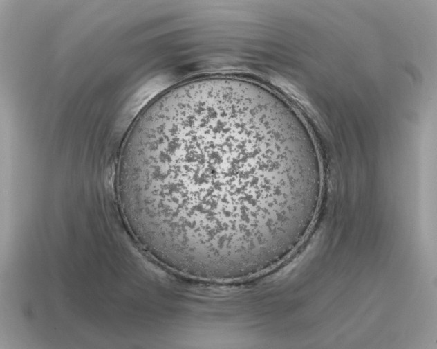 X0000115041273200911091357