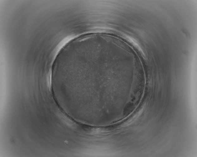 X0000115041275200911091357
