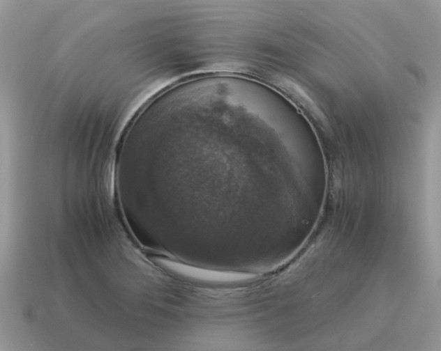 X0000115041276200911091357