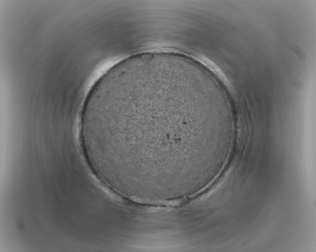 X0000115041277200911091357