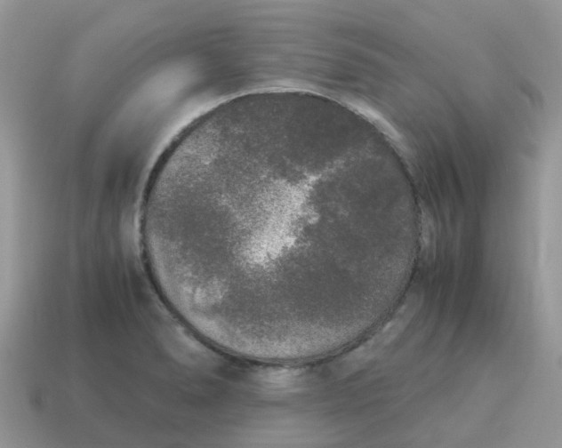 X0000115041278200911091357