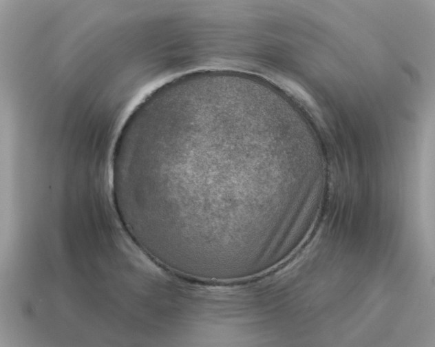 X0000115041280200911091357