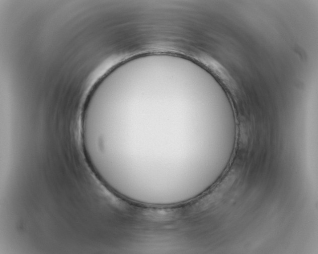X0000115041286200911091357