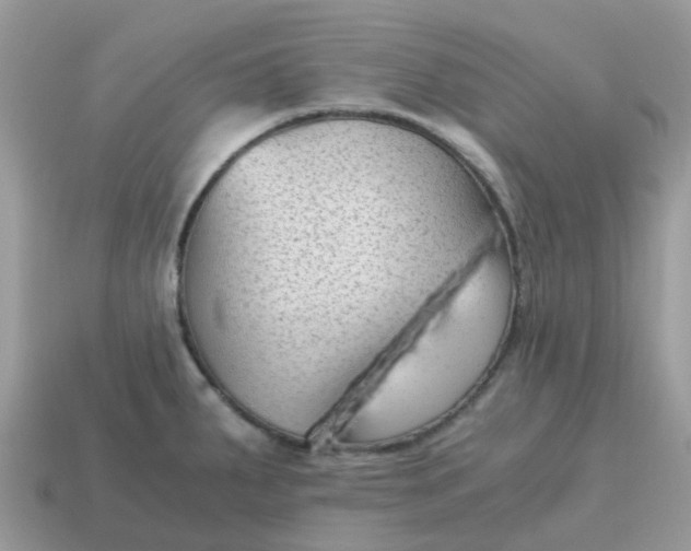 X0000115041287200911091357