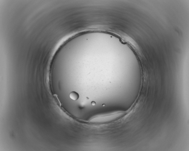 X0000115041288200911091356