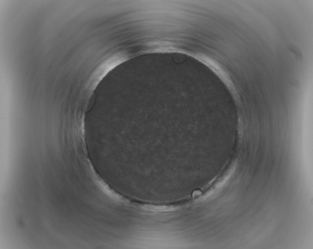 X0000115041289200911091356