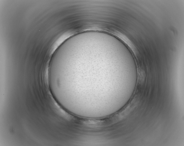 X0000115041290200911091356