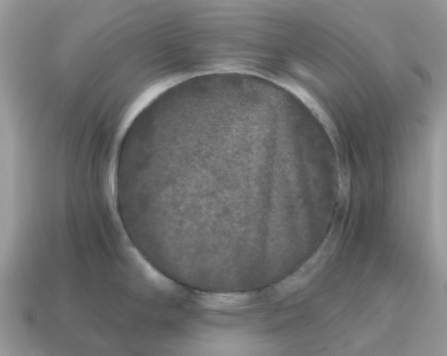 X0000115041294200911091356