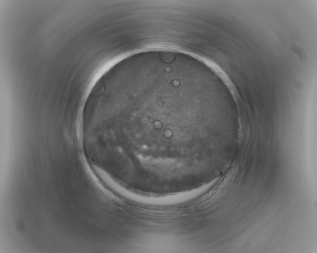 X0000115041295200911091356
