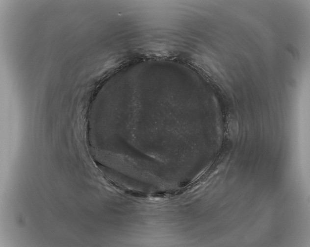 X0000115041297200911091356