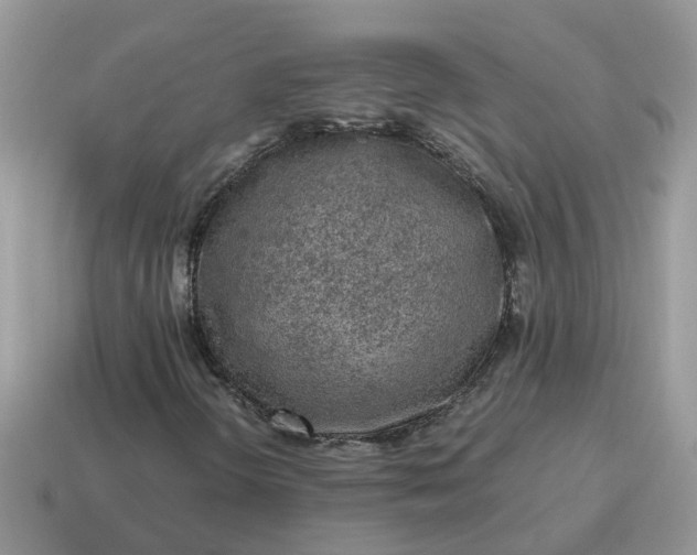 X0000115041298200911091356