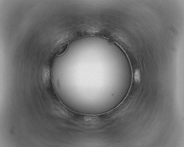 X0000115041299200911091356