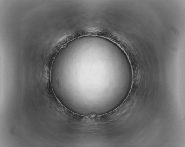 X0000115041301200911091356