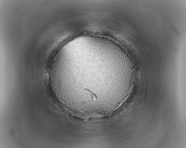 X0000115041302200911091356