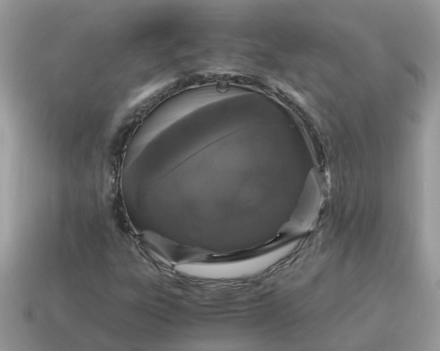X0000115041303200911091356