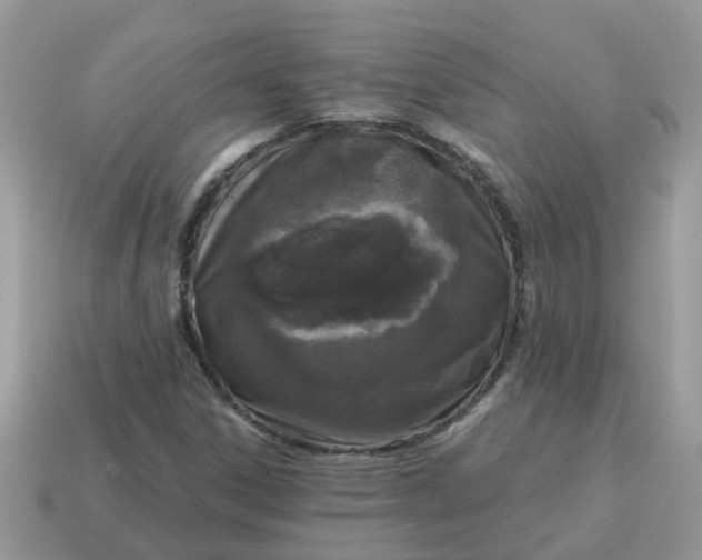 X0000115041306200911091356