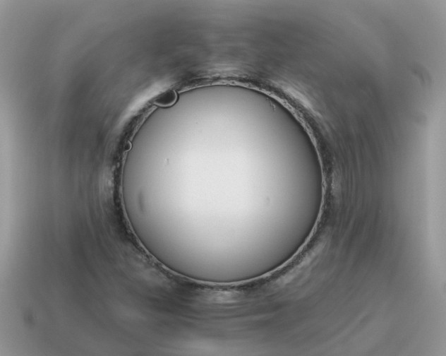 X0000115041309200911091356