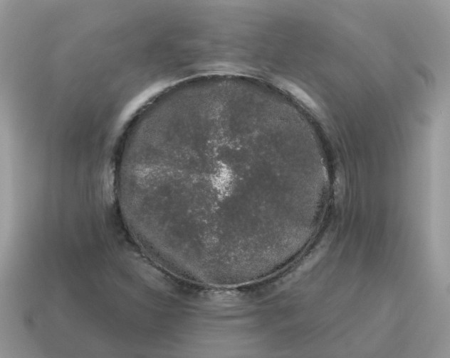 X0000115041310200911091356