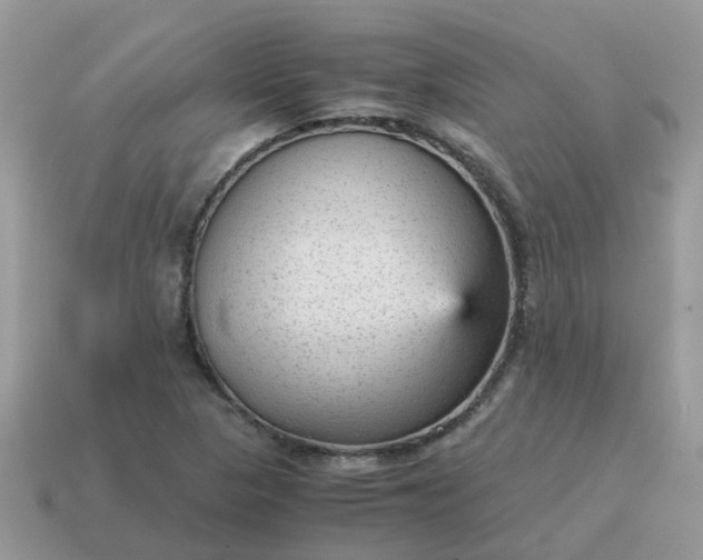 X0000115041313200911091356