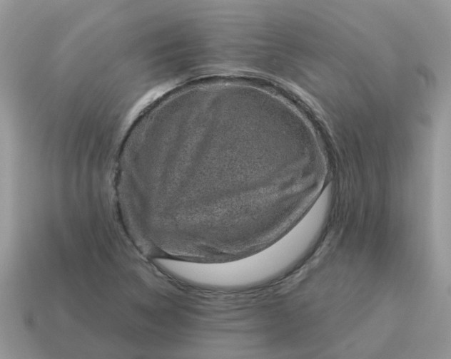 X0000115041314200911091356