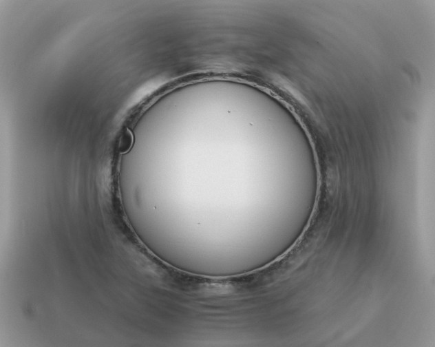 X0000115041315200911091356
