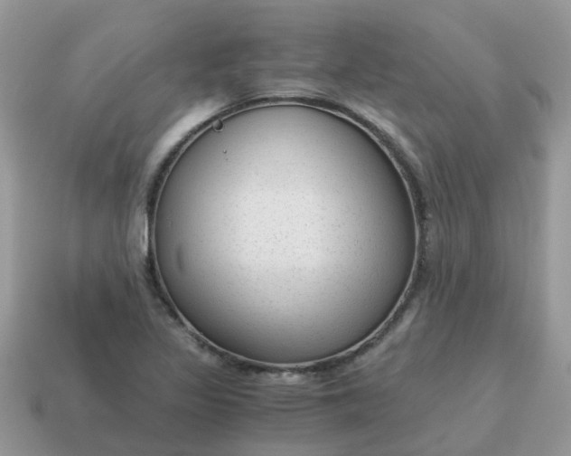 X0000115041317200911091356