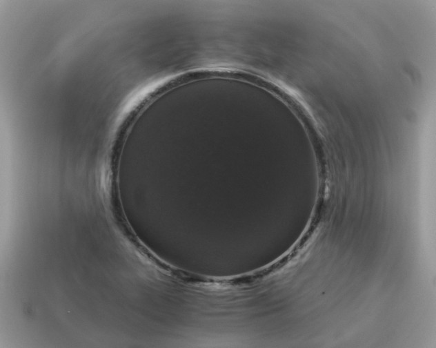 X0000115041319200911091356