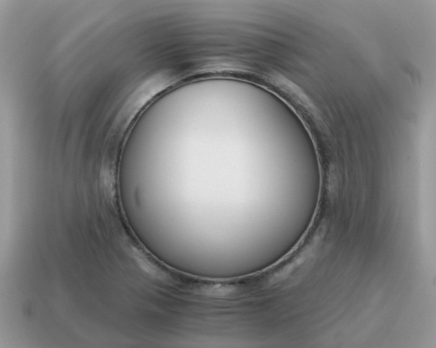 X0000115041321200911091356