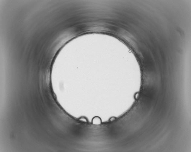 X0000115041322200911091356