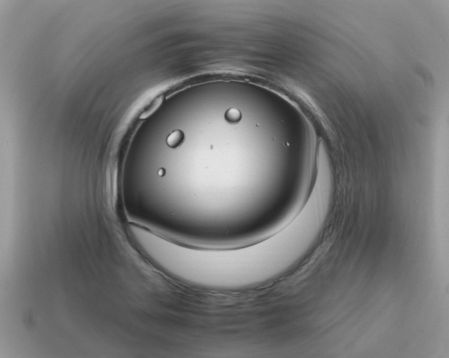 X0000115041323200911091356