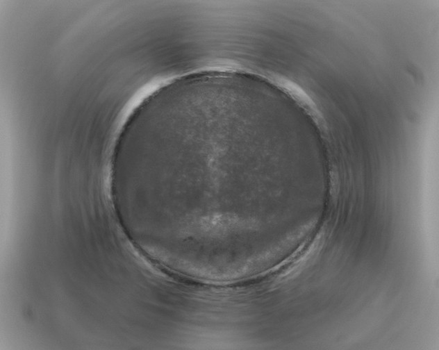 X0000115041326200911091356