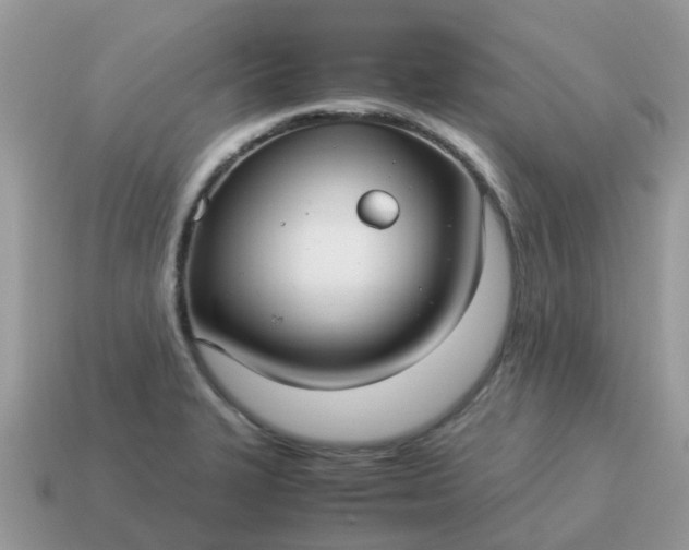 X0000115041327200911091356