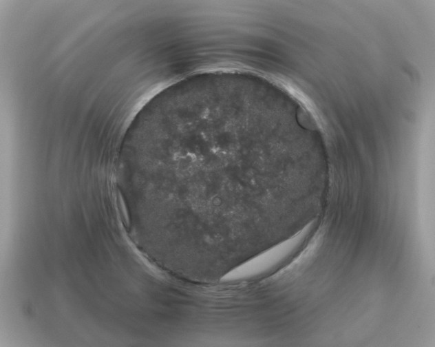 X0000115041329200911091356