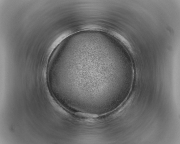 X0000115041330200911091356