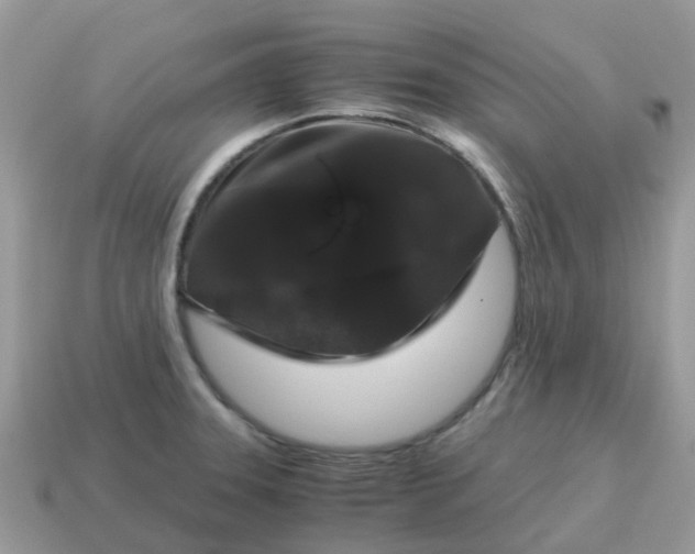 X0000115041331200911091356