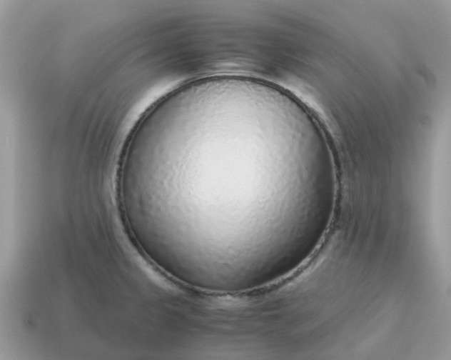 X0000115041333200911091356