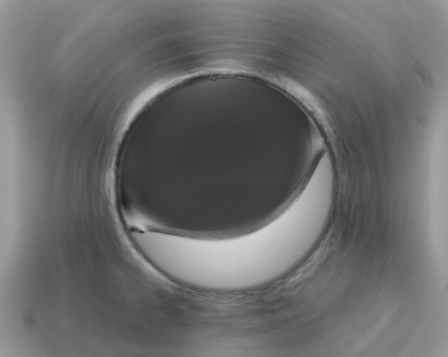 X0000115041334200911091356