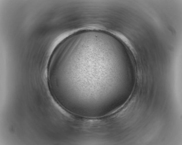 X0000115041335200911091356