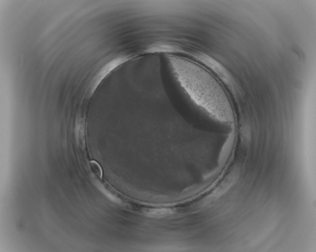 X0000115041337200911091356