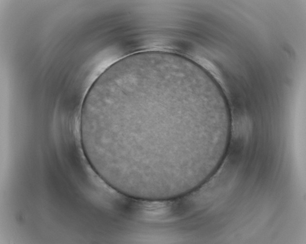 X0000115041338200911091356