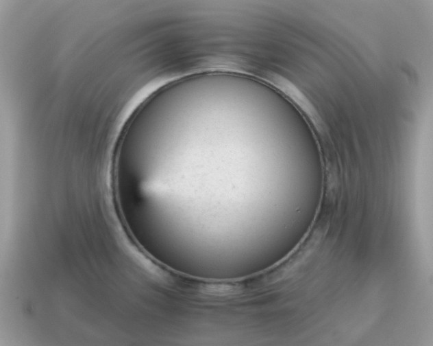 X0000115041339200911091356