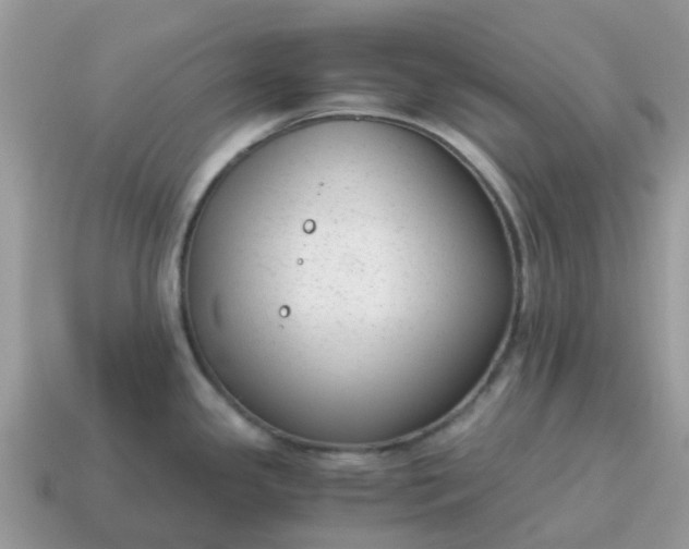 X0000115041341200911091356