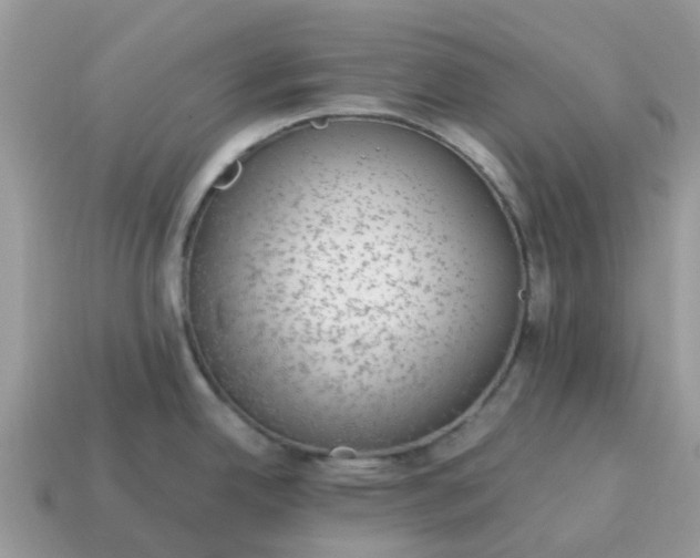 X0000115041342200911091356