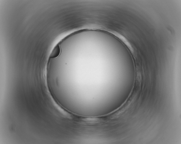 X0000115041343200911091356